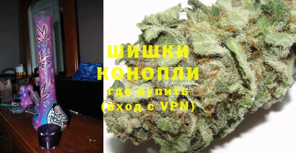 мдпв Тайга