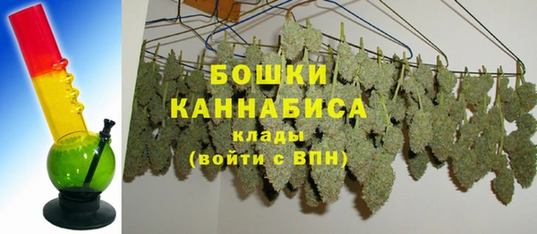 прущие грибы Краснослободск
