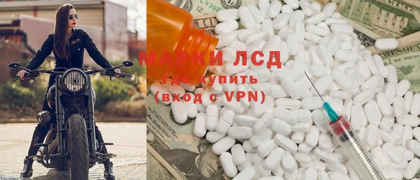 индика Яранск