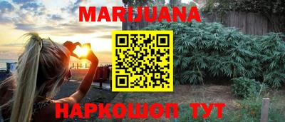 шишки Абакан