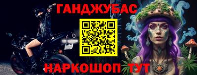 шишки Абакан