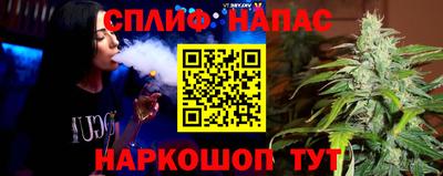 шишки Абакан