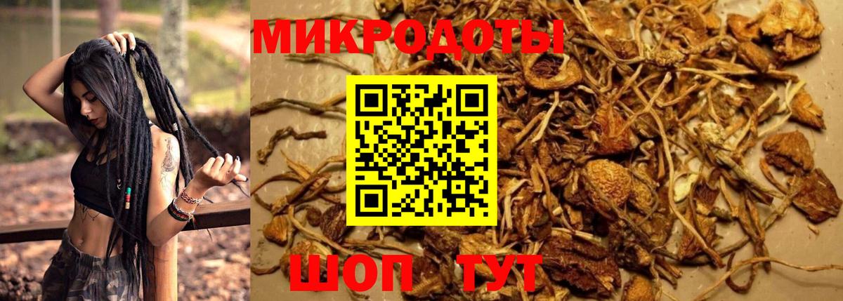 Галлюциногенные грибы ЛСД  Абакан  Псилоцибиновые грибы GOLDEN TEACHER 