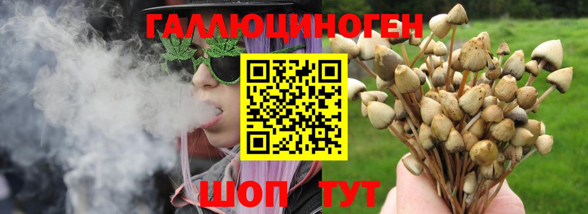 Галлюциногенные грибы мухоморы  Вход с VPN  Галлюциногенные грибы GOLDEN TEACHER  Абакан 